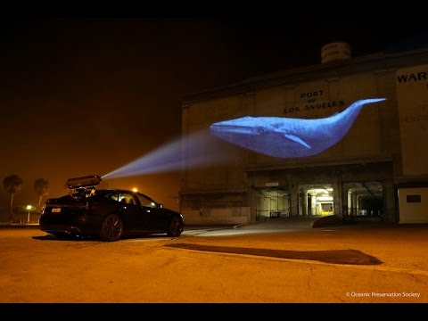 "Racing Extinction" Trailer (formerly "6")