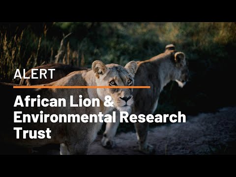 ALERT: African Lion & Environmental Research Trust