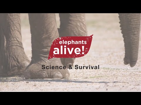 ELEPHANTS ALIVE! - Science and Survival