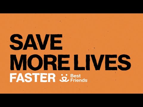 Coming Together To Save Lives - Is Your Community No-Kill?