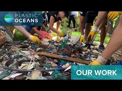 Plastic Oceans International | Our Work