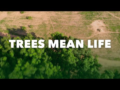 Growing trees to tackle poverty in Africa | Tree Aid