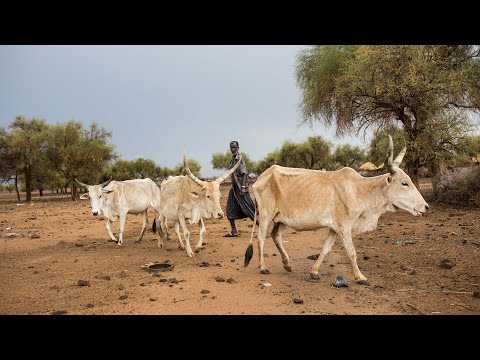 Tackling the Hunger & Climate Change Crisis