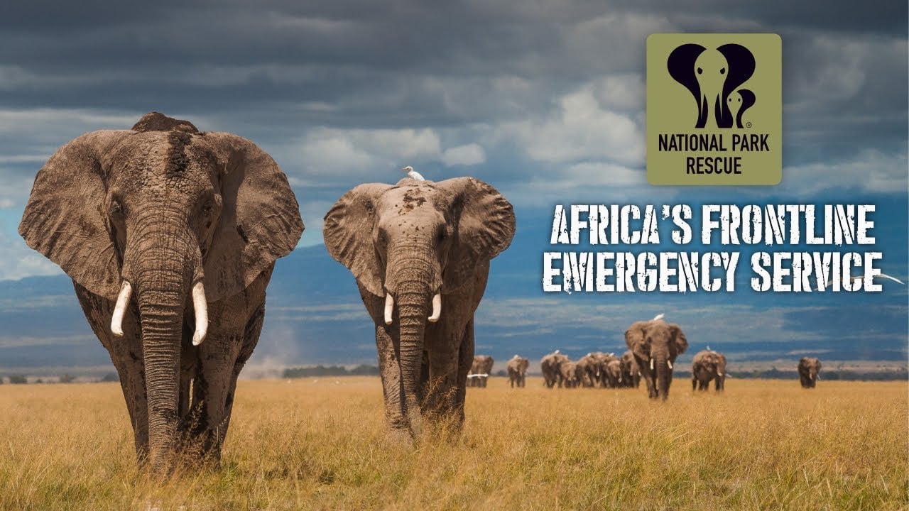 National Park Rescue: Africa's Frontline Wildlife Emergency Service