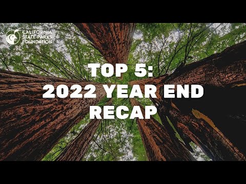 Top 5: 2022 Year End Recap