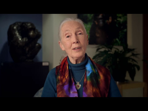 Make a Difference with the Jane Goodall Institute