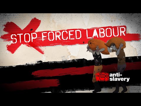 Hold companies accountable for forced labour in supply chains!