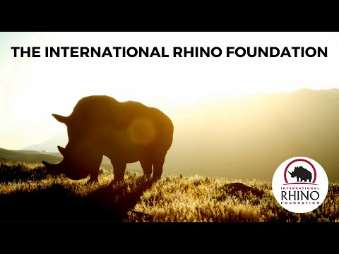 The International Rhino Foundation | Keeping the Five Alive
