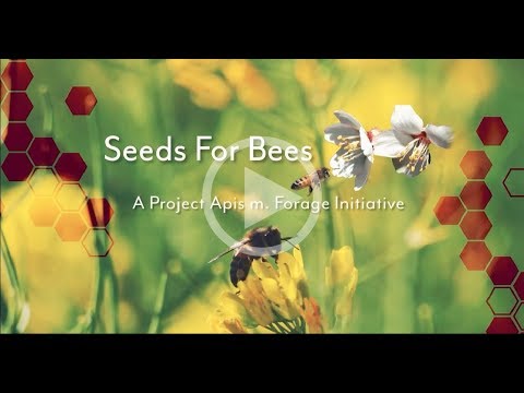 PAm Seeds For Bees 2017