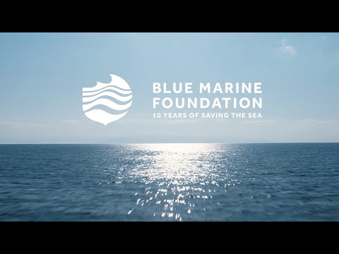 Blue Marine Foundation: Who We Are 2020