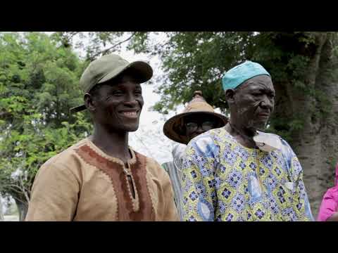 International tree foundation - A glimpse of our partners in Ghana