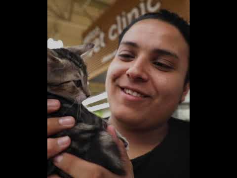 Adopt a Pet | Petco Love