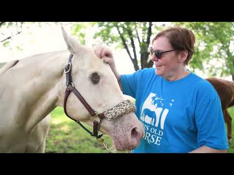 One year later: Blind horse's world is completely changed after being rescued