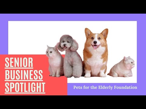 Interview with Susan Kurowski with Pets for the Elderly Foundation