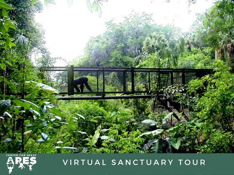 Virtual Holiday Tour & Sanctuary Update 2021