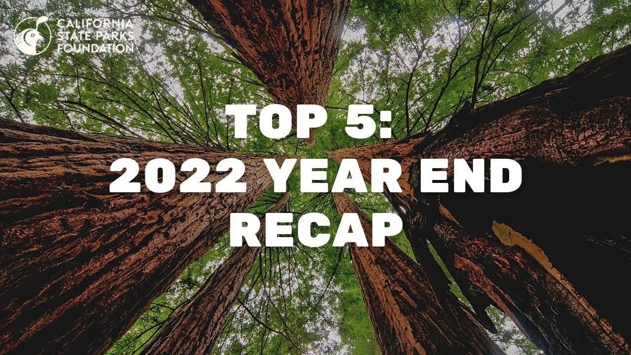 Top 5: 2022 Year End Recap