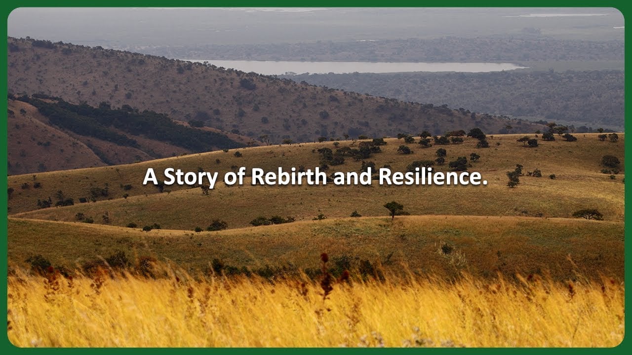 Welcome to Akagera National Park, Rwanda