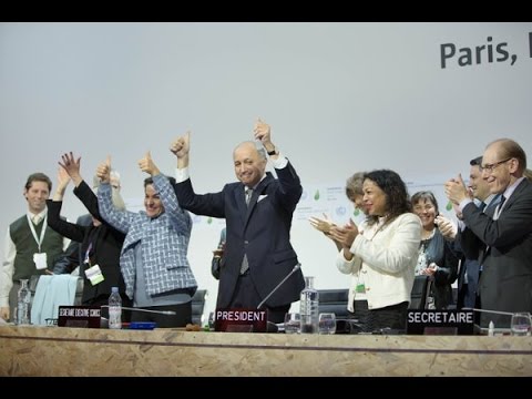Two Weeks of COP 21 in 10 Minutes