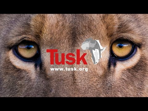 Introduction to Tusk 2021