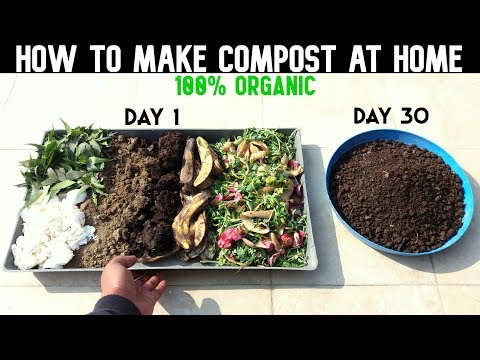 How To Make Compost At Home (WITH FULL UPDATES)