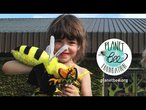 The Buzz About Planet Bee Foundation and How You Can Help the Bees