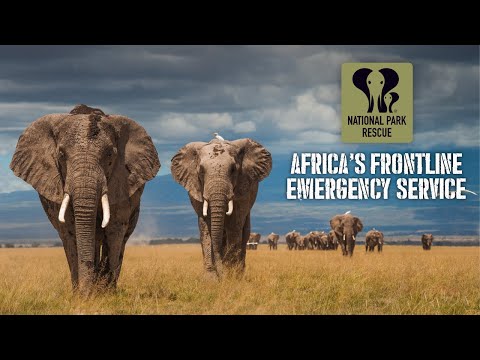 National Park Rescue: Africa's Frontline Wildlife Emergency Service