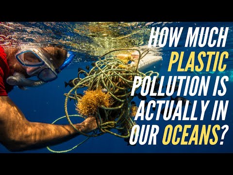 How much plastic pollution is ACTUALLY in our oceans?
