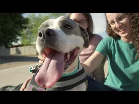 PetSmart Charities 9 Millionth Adoption