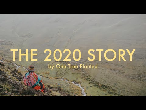 Planting 10 MILLION trees: The 2020 Story | One Tree Planted