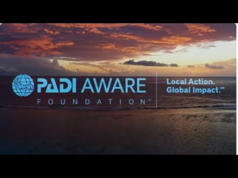 PADI AWARE Foundation - Thank You!