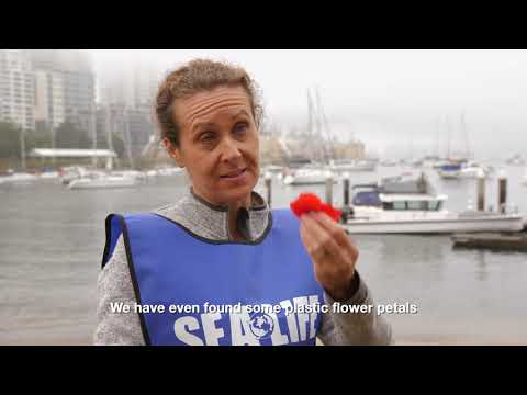 SEA LIFE Trust ANZ - World Oceans Day 24 Hour Clean Up