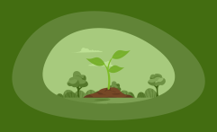 11 Best Charities for Planting Trees (Complete 2024 List)