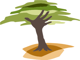 Logo for Eden Reforestation Project