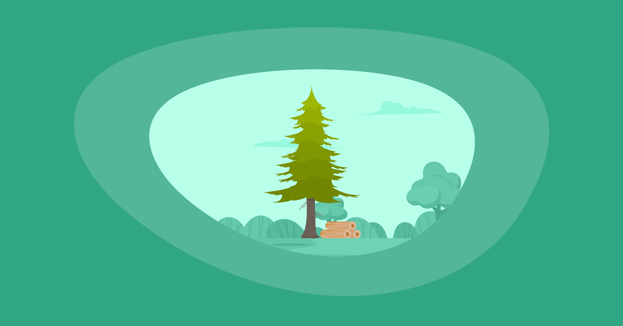 Illustration of a Douglas fir tree and wood