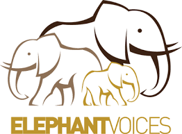 Logo for Elephant Voices 