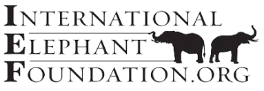 Logo for International Elephant Foundation