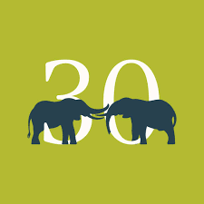 Logo for Save the Elephants