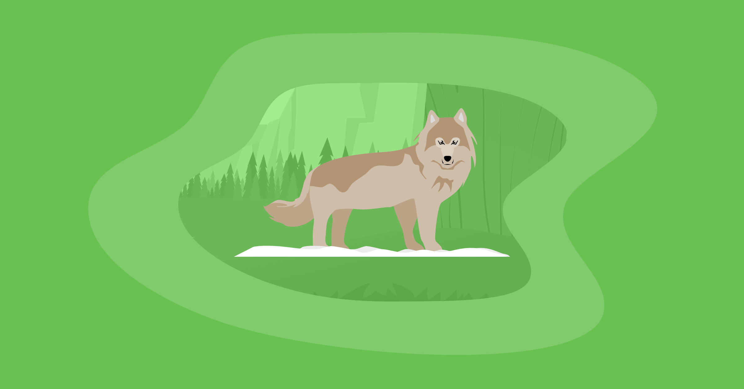 Illustration of a wolv