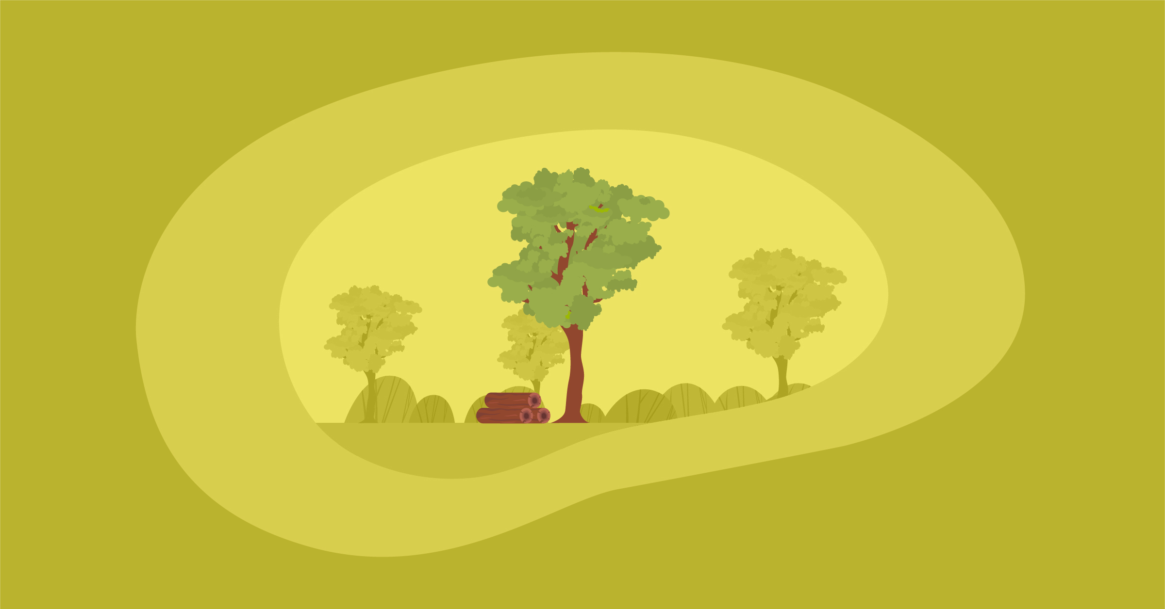 Illustration of a meranti tree and wood