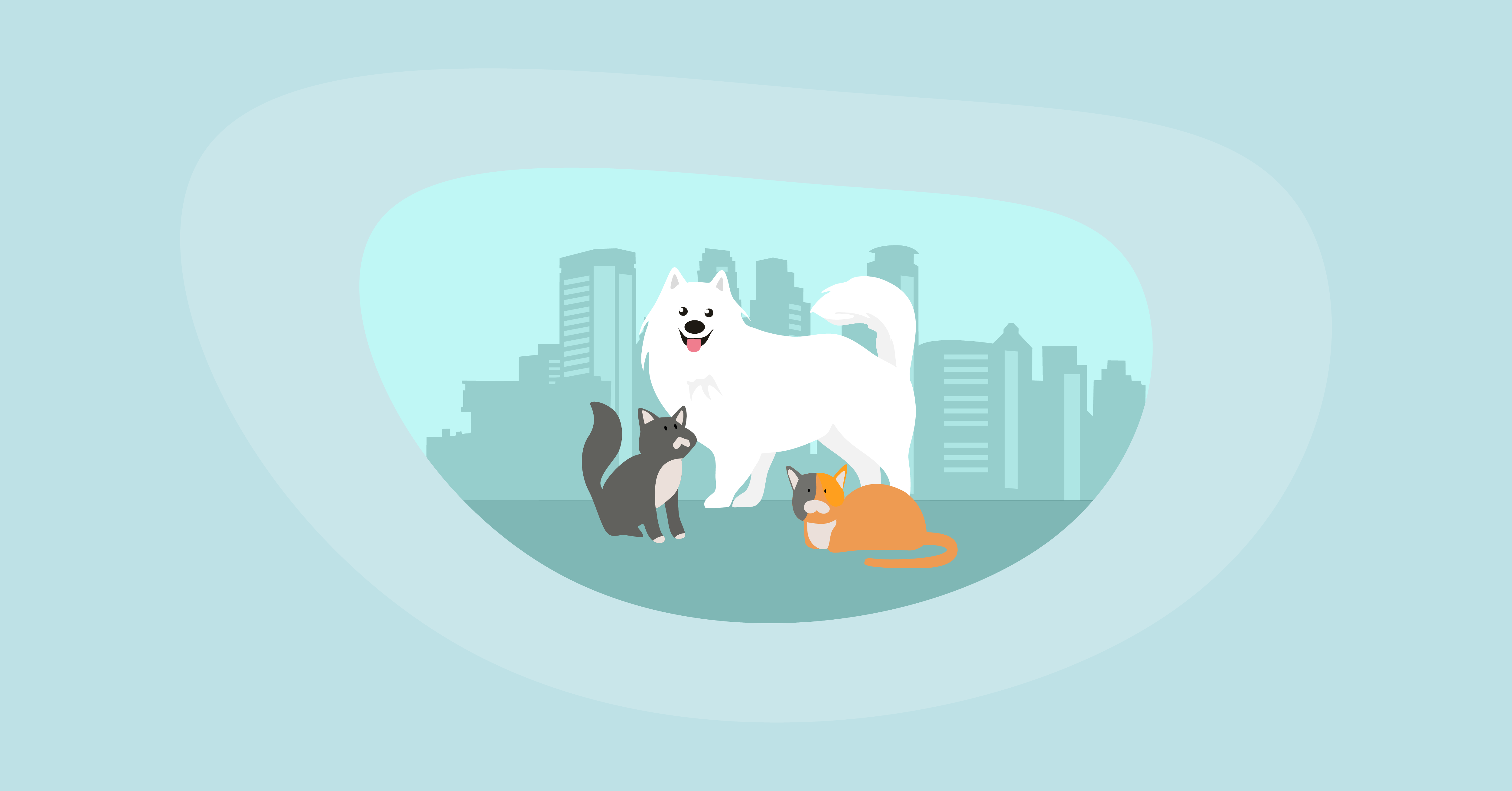 Illustration of pet animals