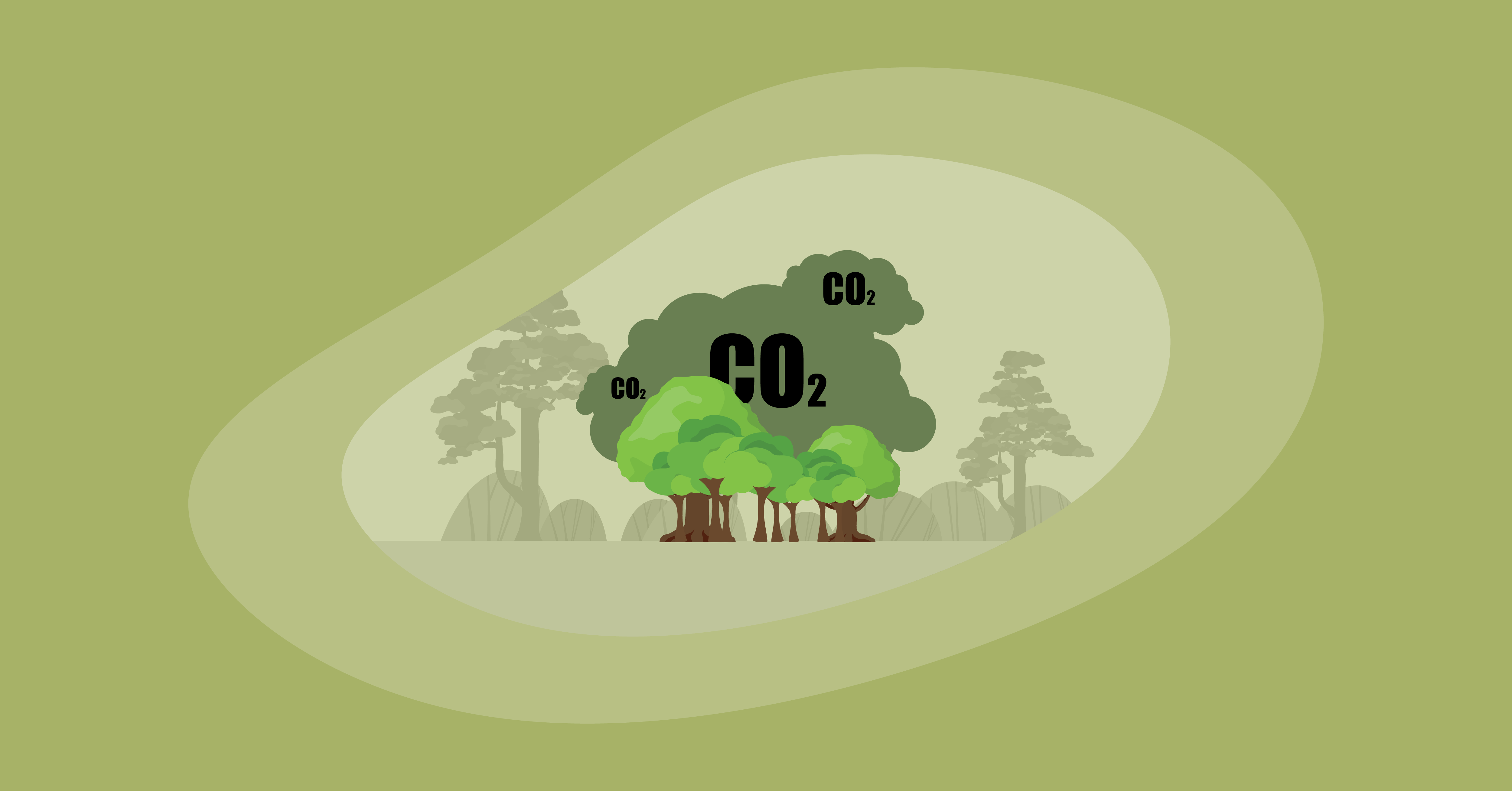 Attempted illustration of carbon offsetting
