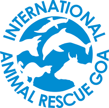 Logo for International Animal Rescue
