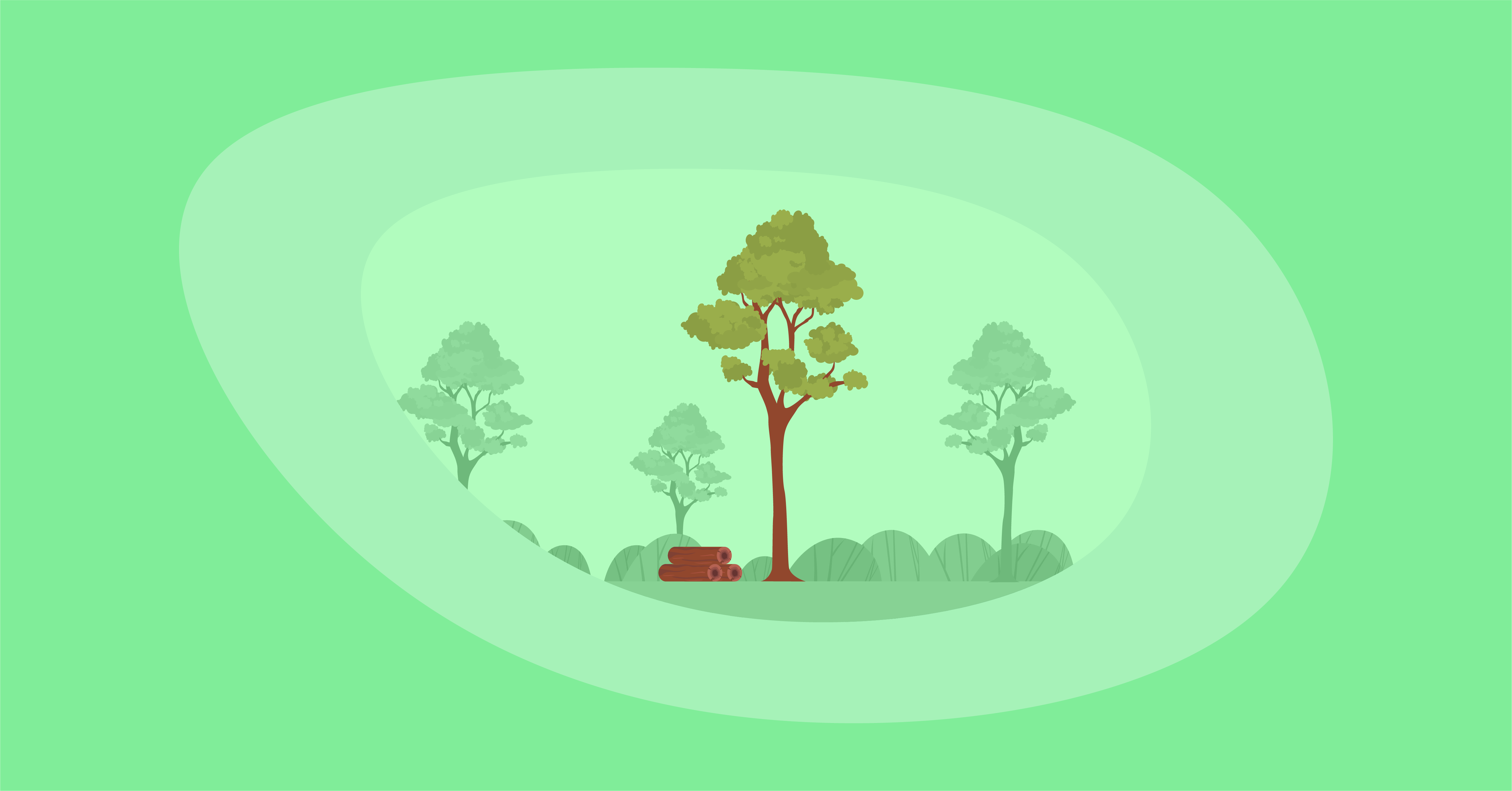 Illustration of a balau tree and wood