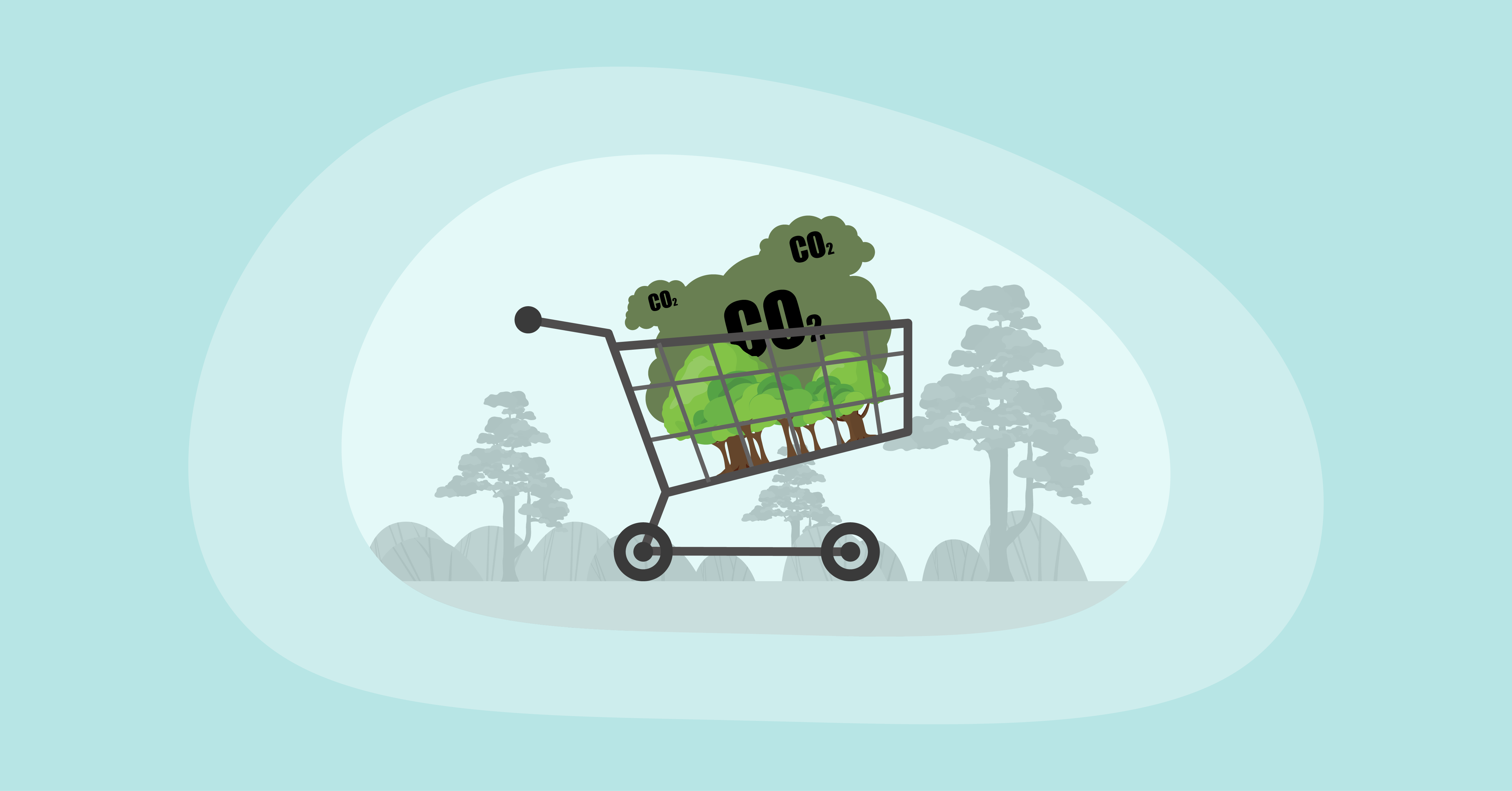 Attempted illustration of a carbon offset purchase