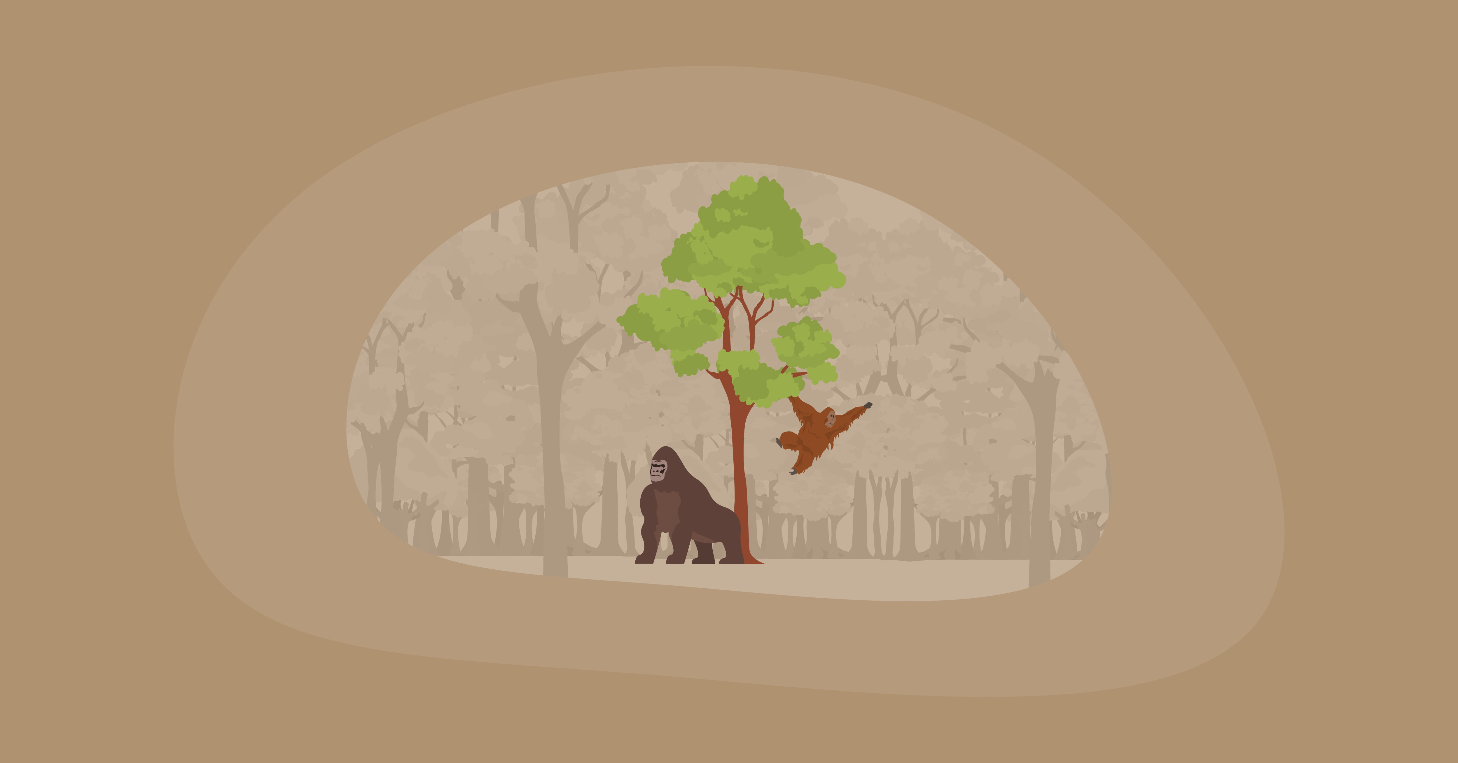 Illustration of apes