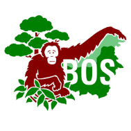 Logo for Borneo Orangutan Survival