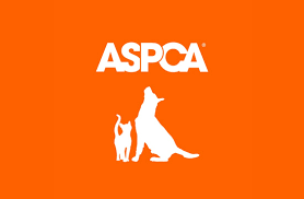 Logo for The American Society for the Prevention of Cruelty to Animals
