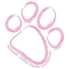 Logo for The National Canine Cancer Foundation