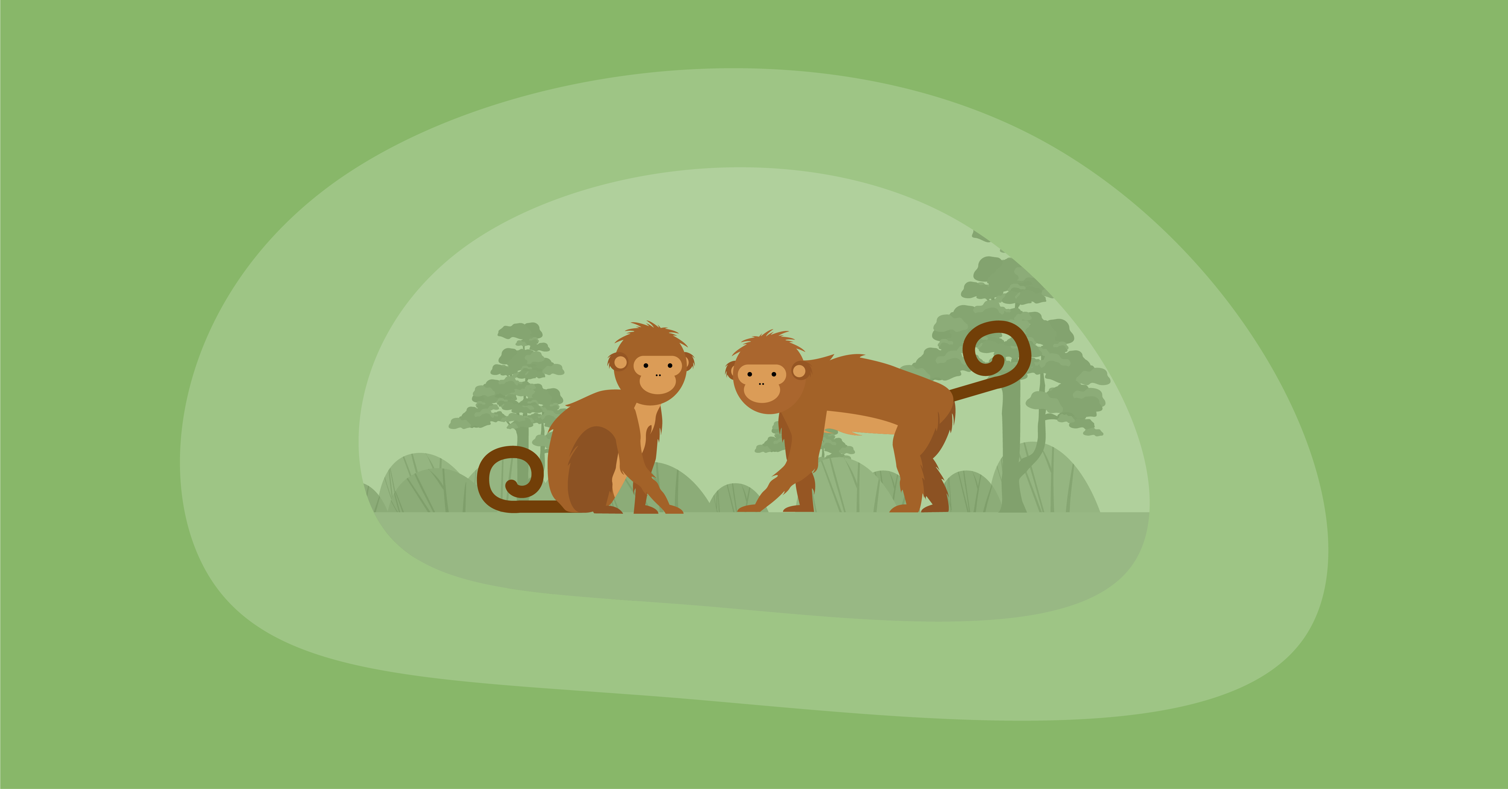 Illustration of monkeys