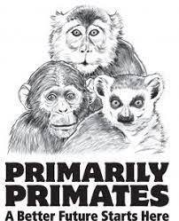 Logo for Primarily Primates